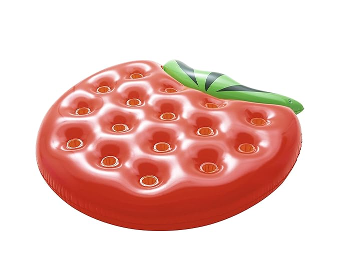 Strawberry Inflatable Pool Float - DXGEARS